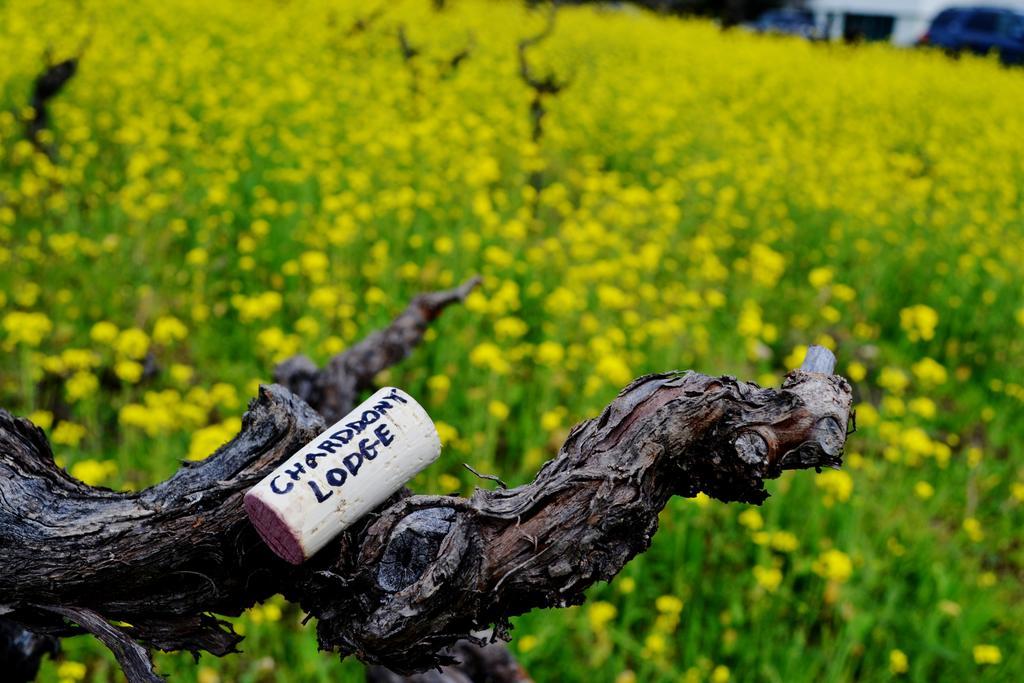 Chardonnay Lodge Напа Екстериор снимка