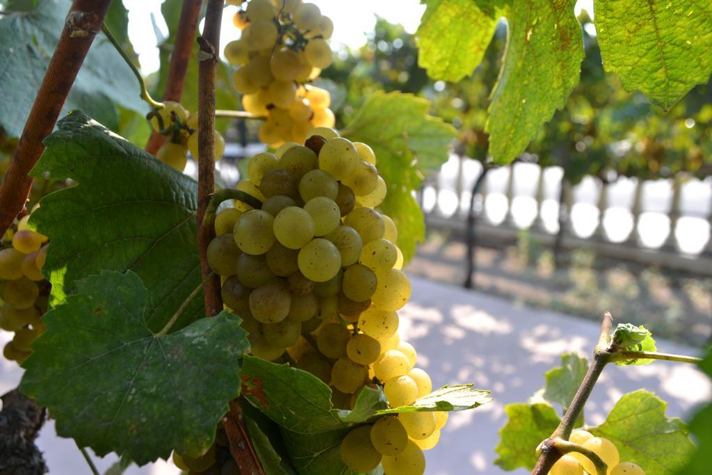 Chardonnay Lodge Напа Екстериор снимка